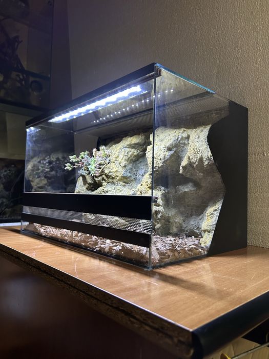 Тераріум для рептилій, членостоногих з декором