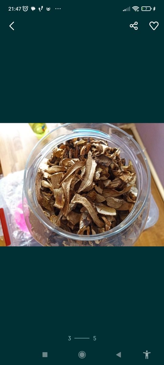 Grzyby krajanka prawdziwki