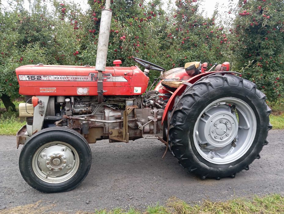 Massey Ferguson 152 mkIII  Sadowniczy