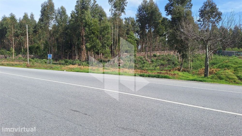 Lote de Terreno  Venda em Tondela e Nandufe,Tondela