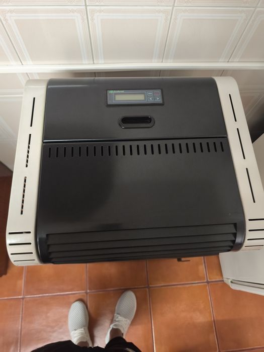 Salamandra a Pellets ecoforest