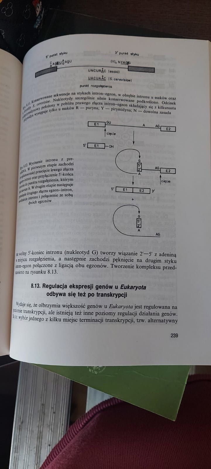 Genetyka Molekularna Piotr Węgleński