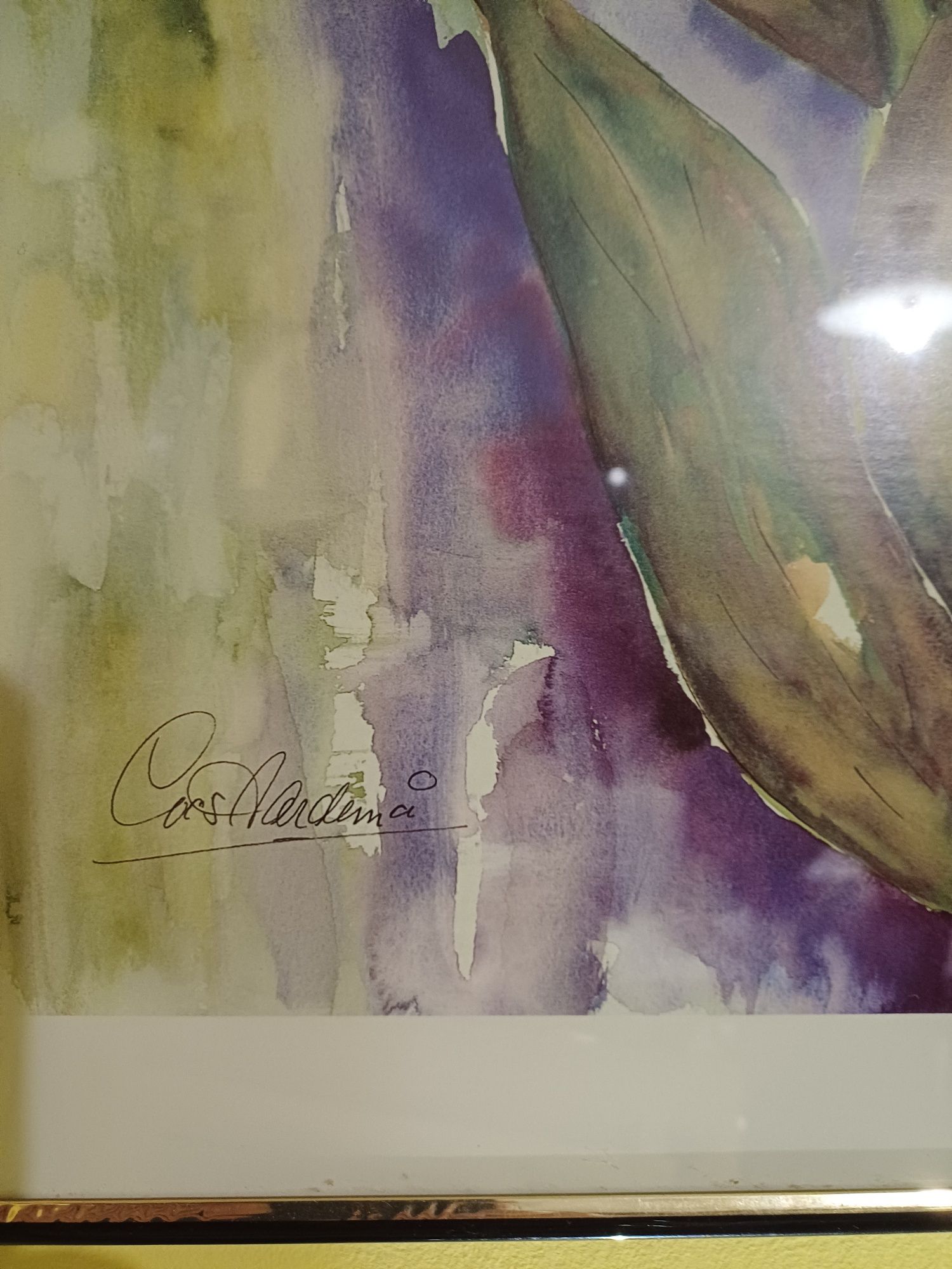 obraz grafika–tulipan