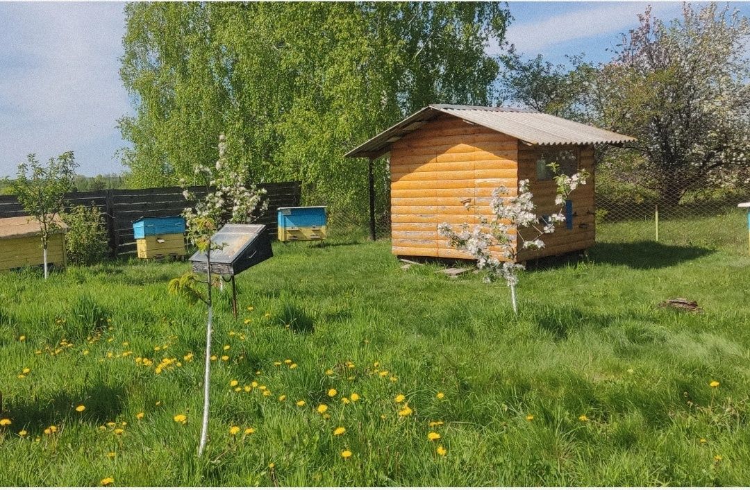 Мед з власної пасіки