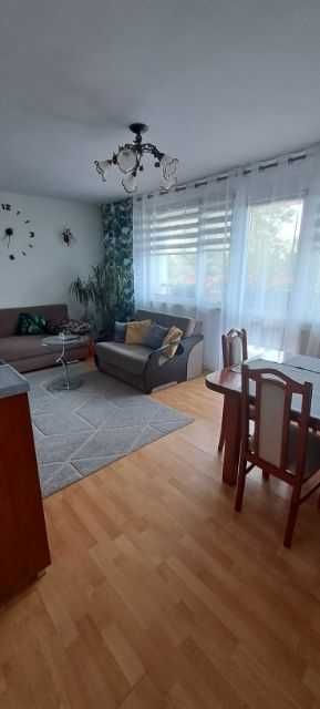 Noclegi nad morzem, całe mieszkanie, apartament 8 osób, Karwia