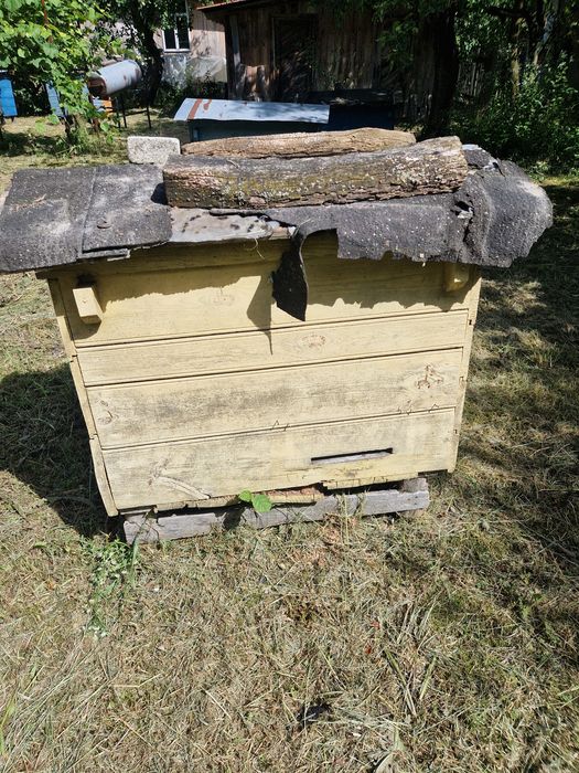 Ule warszawskie poszerzane solidne