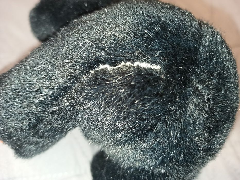 Mały czarny miś maskotka