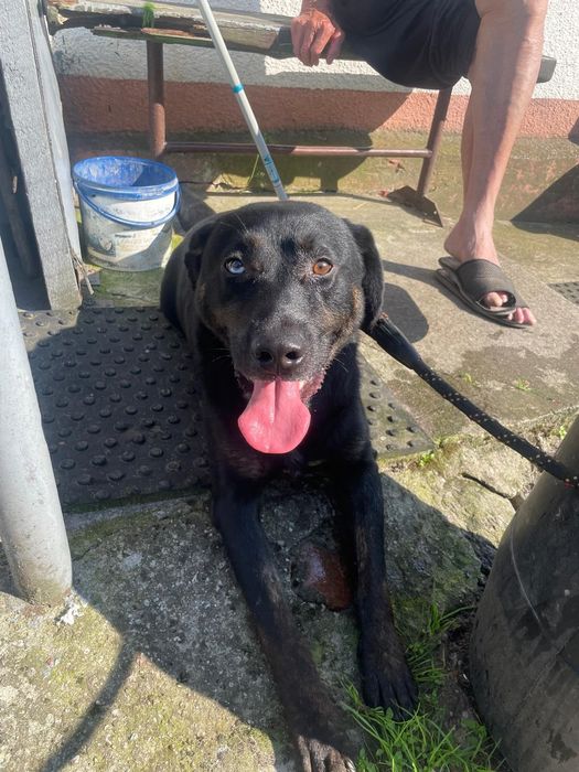 Weź mnie do domu i pokochaj!