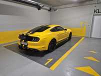 Ford Mustang Aktywny wydech navi wentylacja maxton