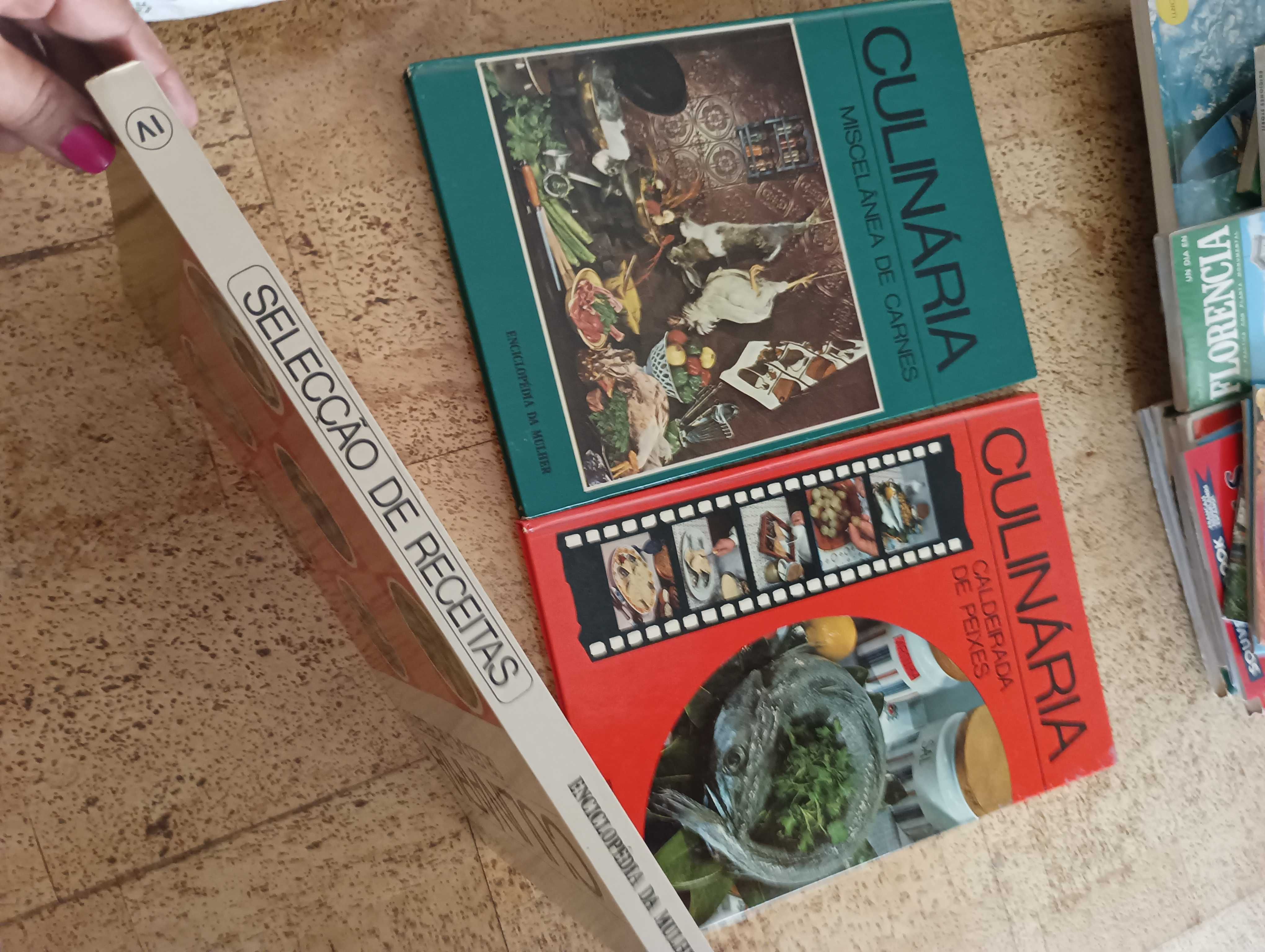Livros antigos de culinária