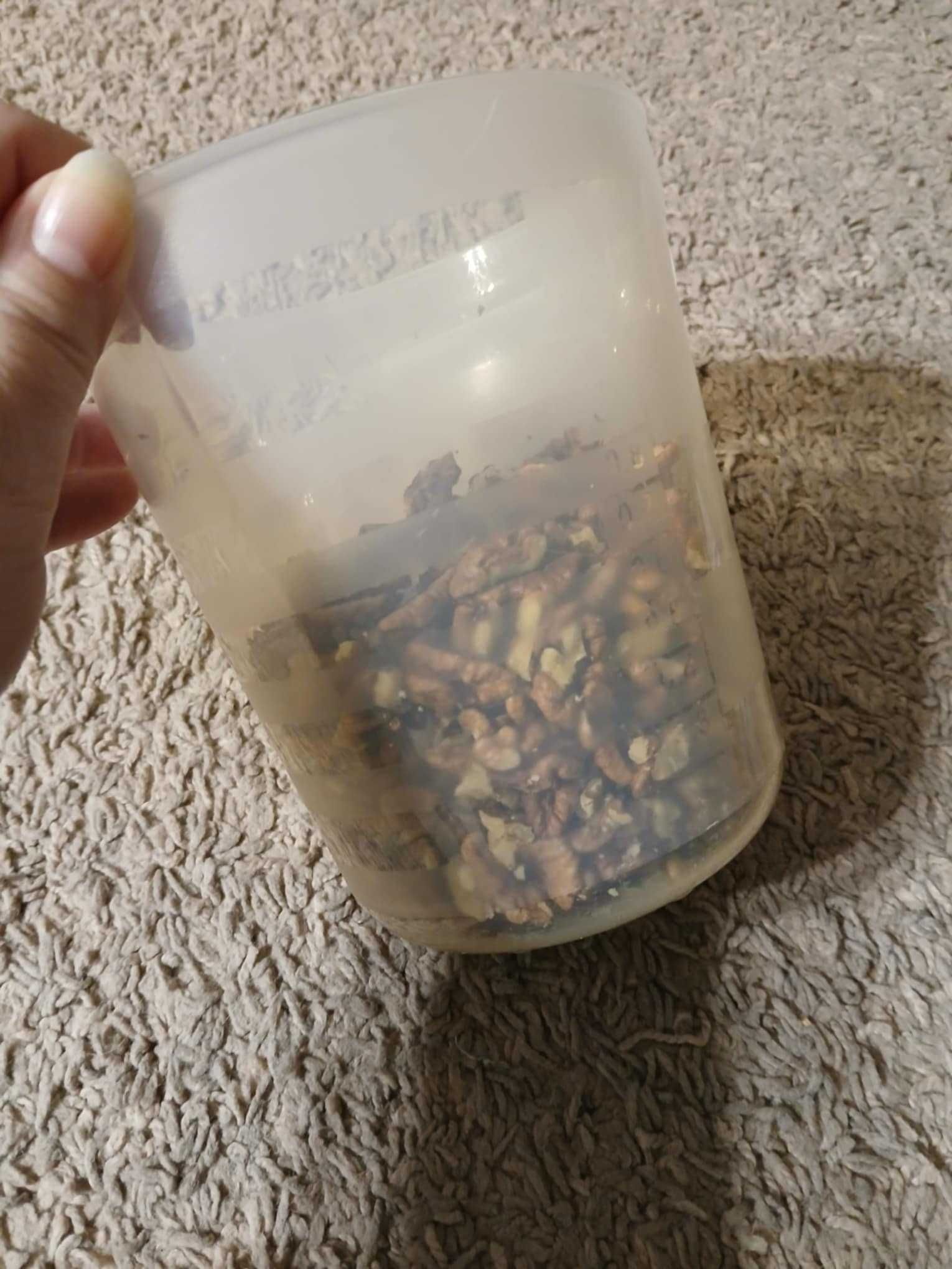 Ekologiczne orzechy włoskie niełuskane z własnego ogrodu 10kg