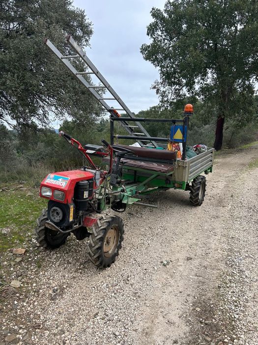 Moto-cultivador Lombardini 14 cv + Alfaias + Atrelado