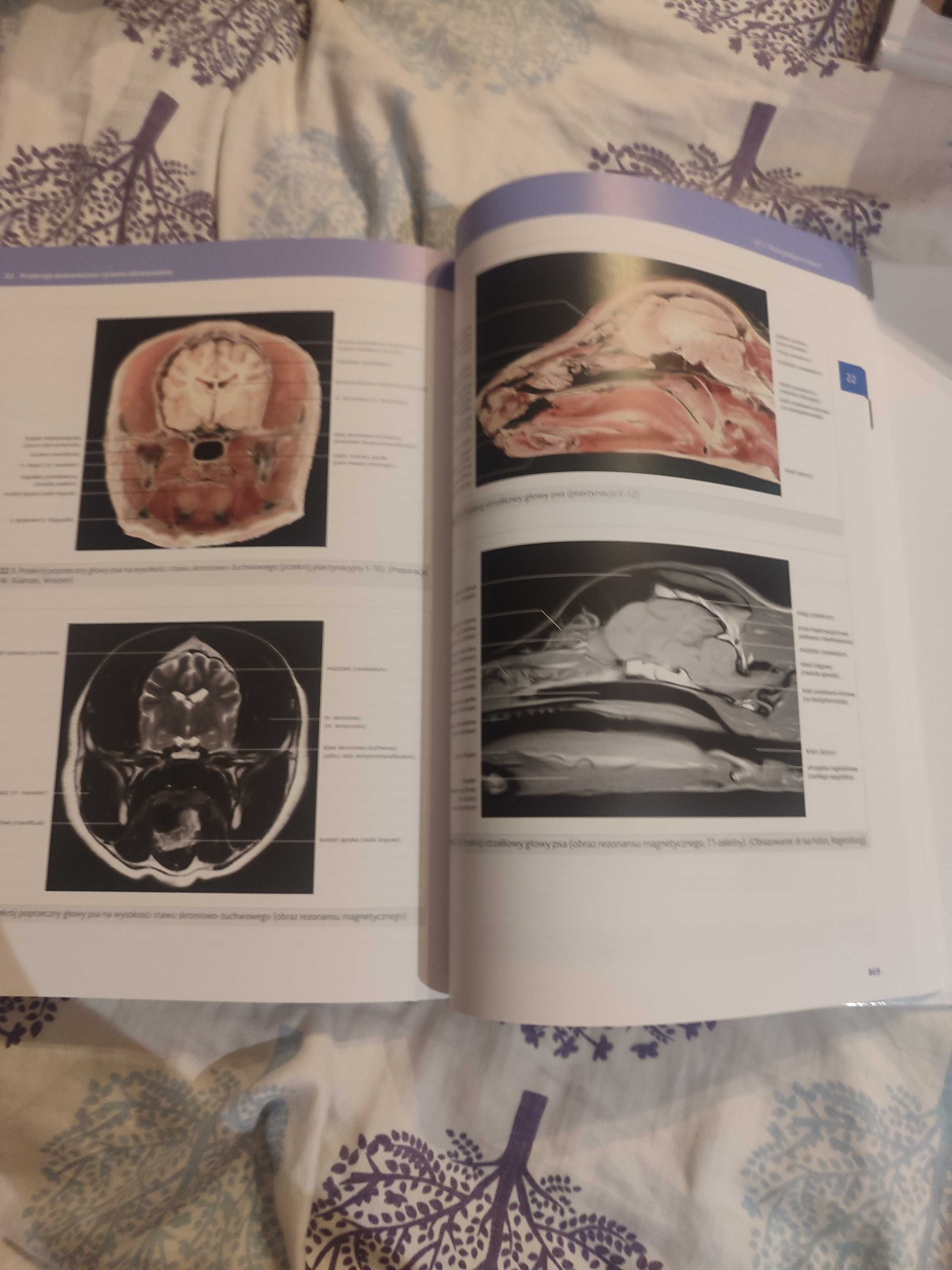 Anatomia zwierząt domowych. Kolorowy atlas i podręcznik Cz 2