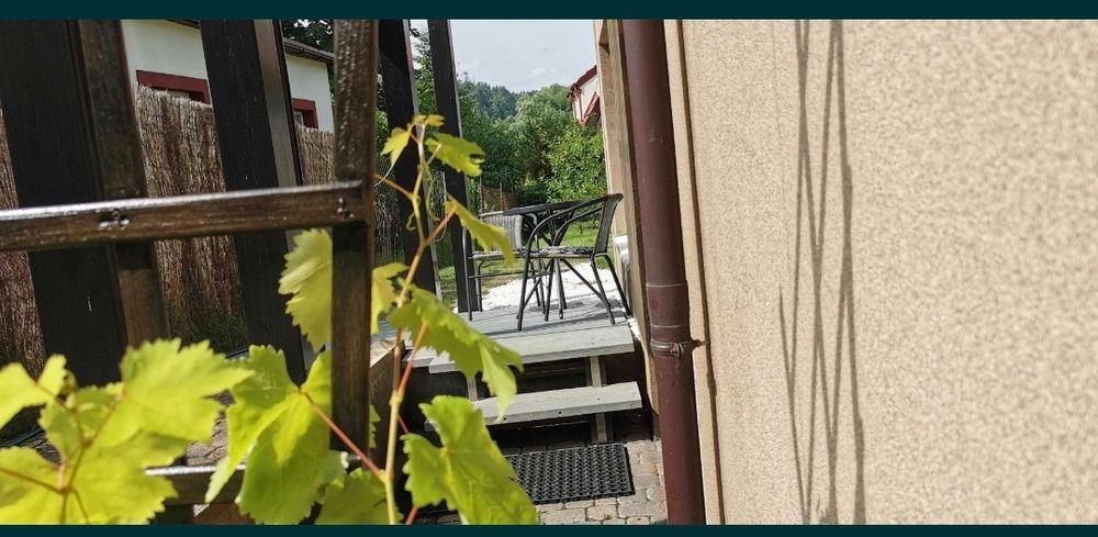 noclegi, Gdańsk, Oliwa, Sopot, studio, przy lesie