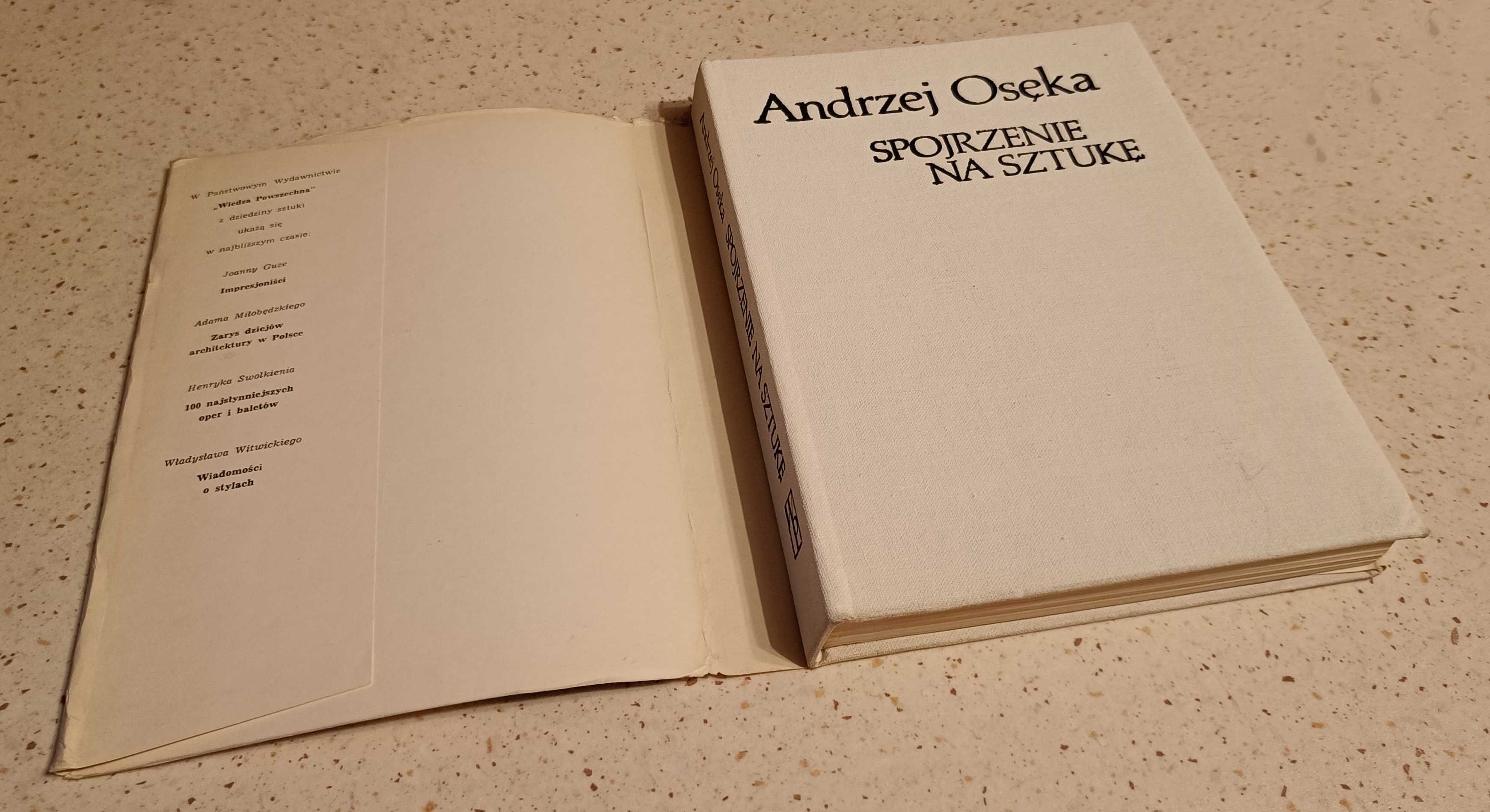 Spojrzenie na sztukę - Andrzej Osęka