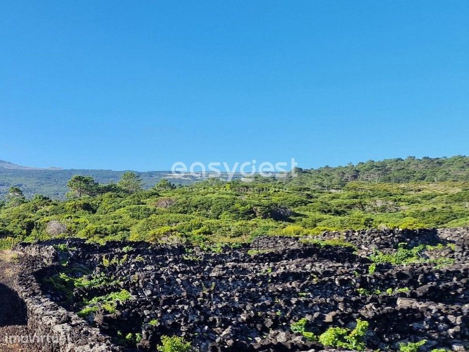 Terreno para construção com privacidade e vista Mar e Montanha
