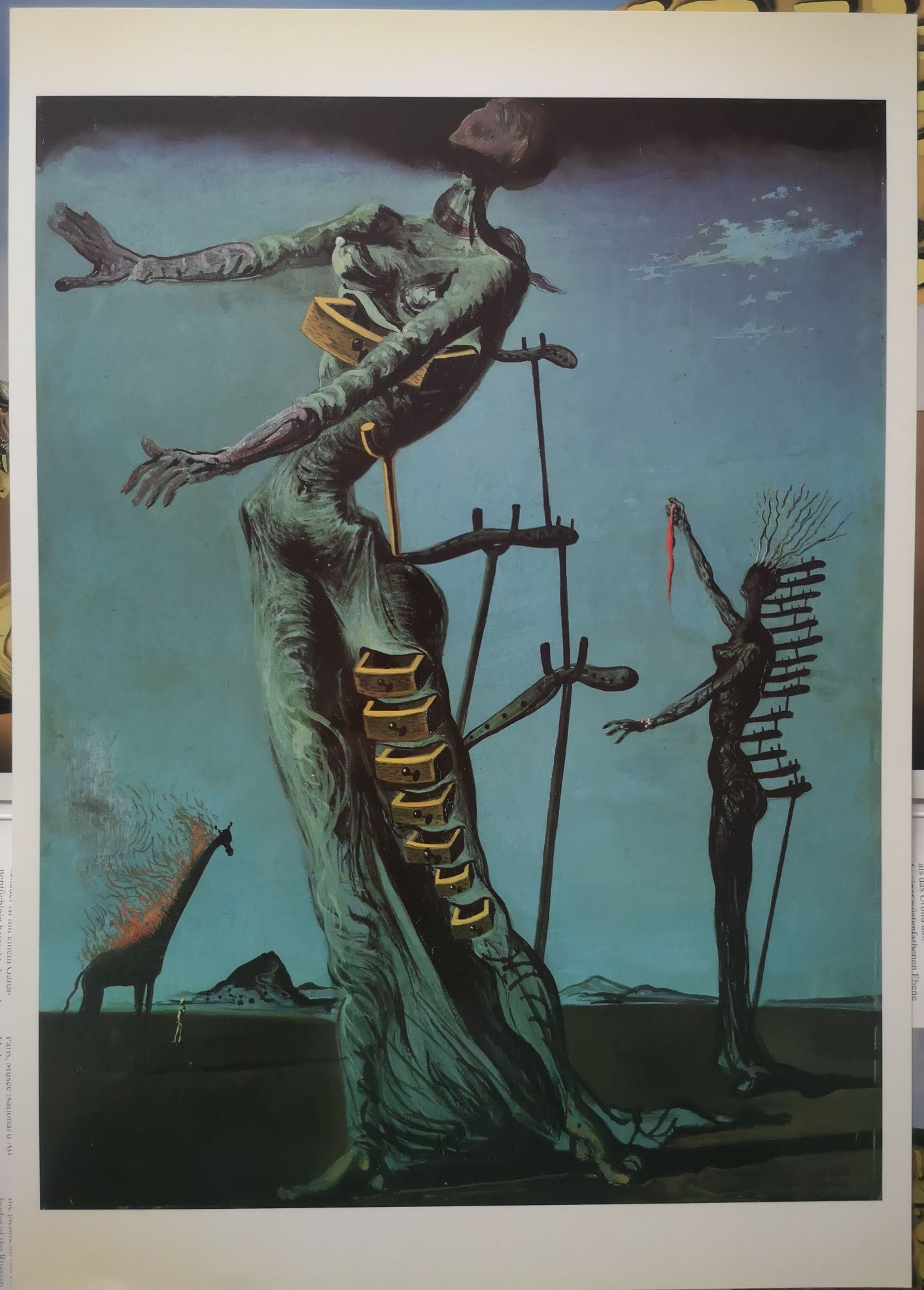 Salvador Dali - Posterbook