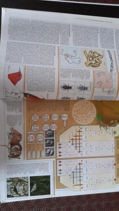 Grande atlas do mundo