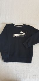 Zestaw 140 bluza Puma,spodnie Adidas