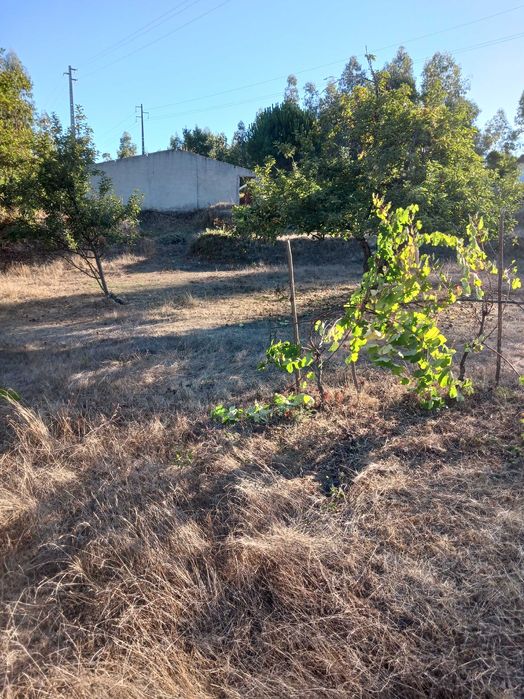 Vende-se quinta sitio ideal para passar férias soalheiro e sossegado