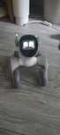 Robot Loona Pet Premium Edition