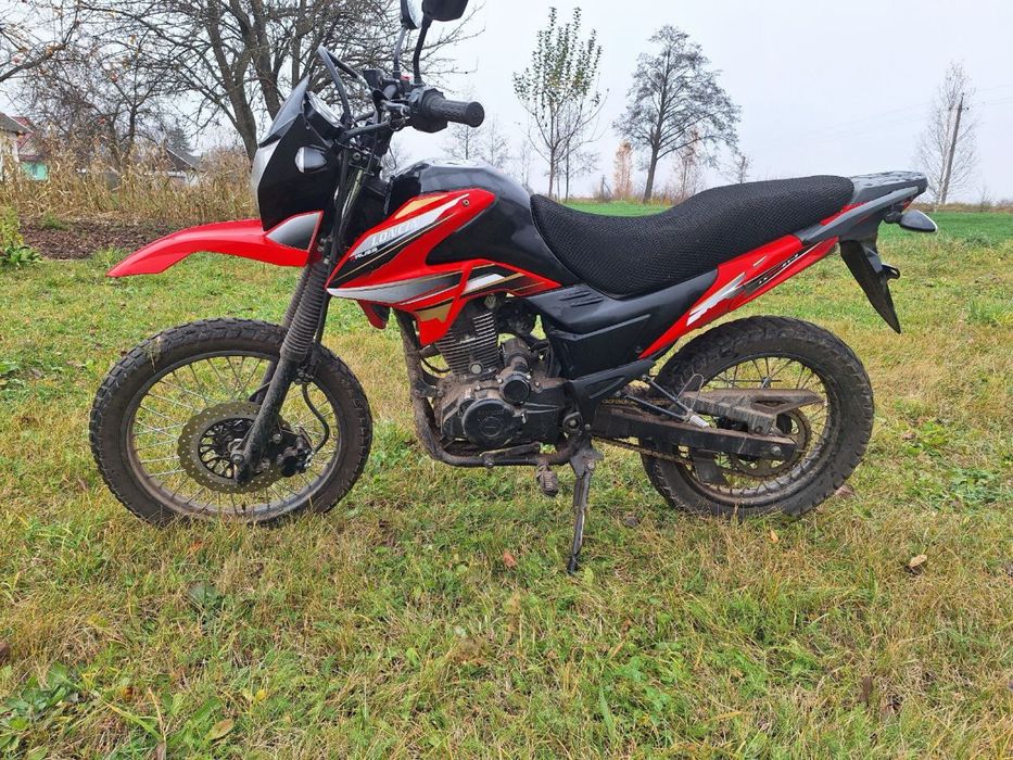 Продам лонсін прус