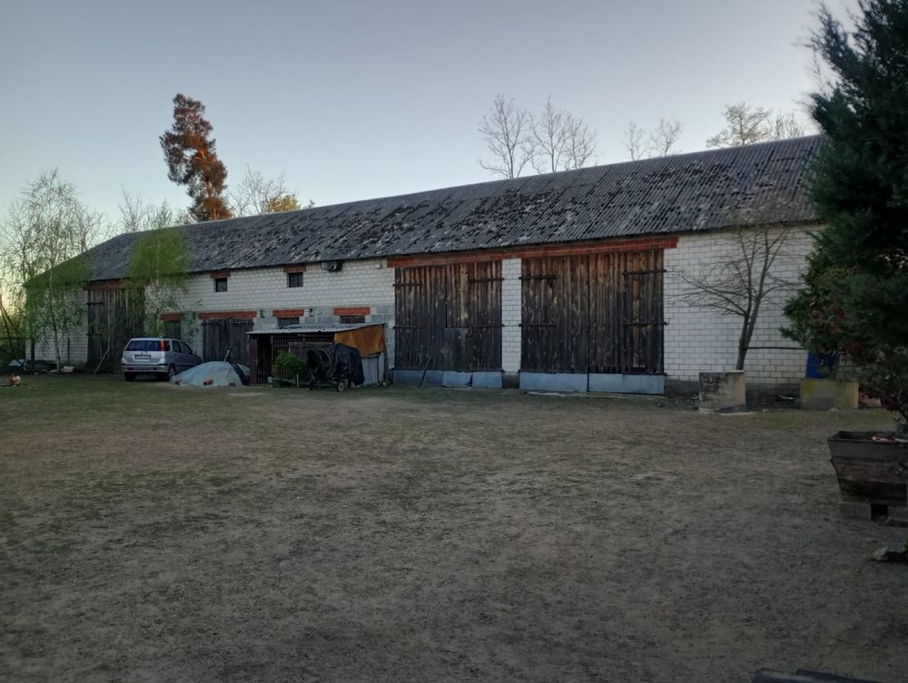 Gospodarstwo rolne dom, budynki, ziemia 14 ha