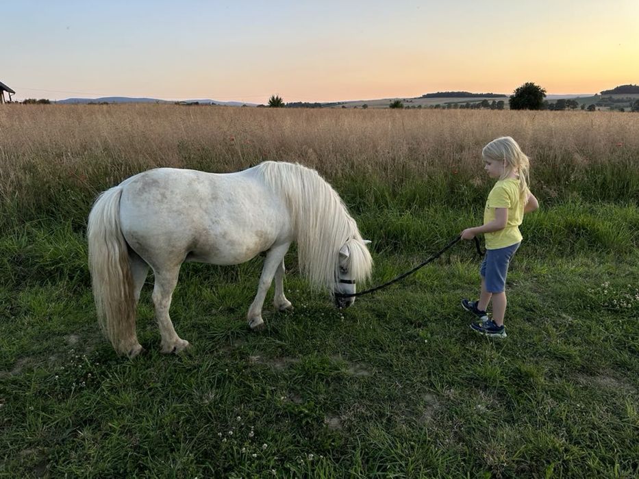 Apartament, agroturystyka , Kotlina Kłodzka , Góry Stołowe , noclegi