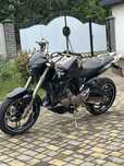 Geon Stinger 250