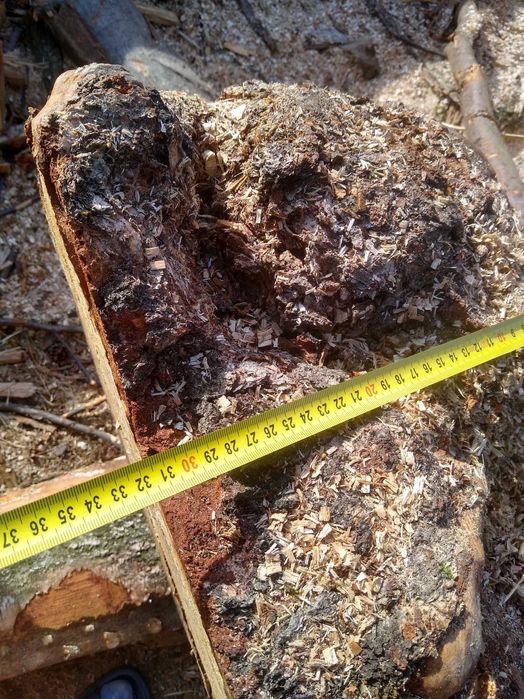 Czeczot, czeczota, stolarka, dobra na stolik, taca,dla profesjonalisty