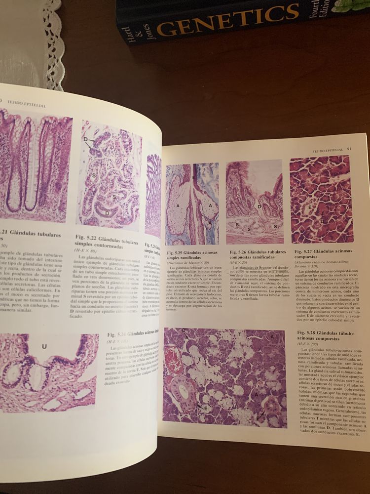 Livro Histología Funcional