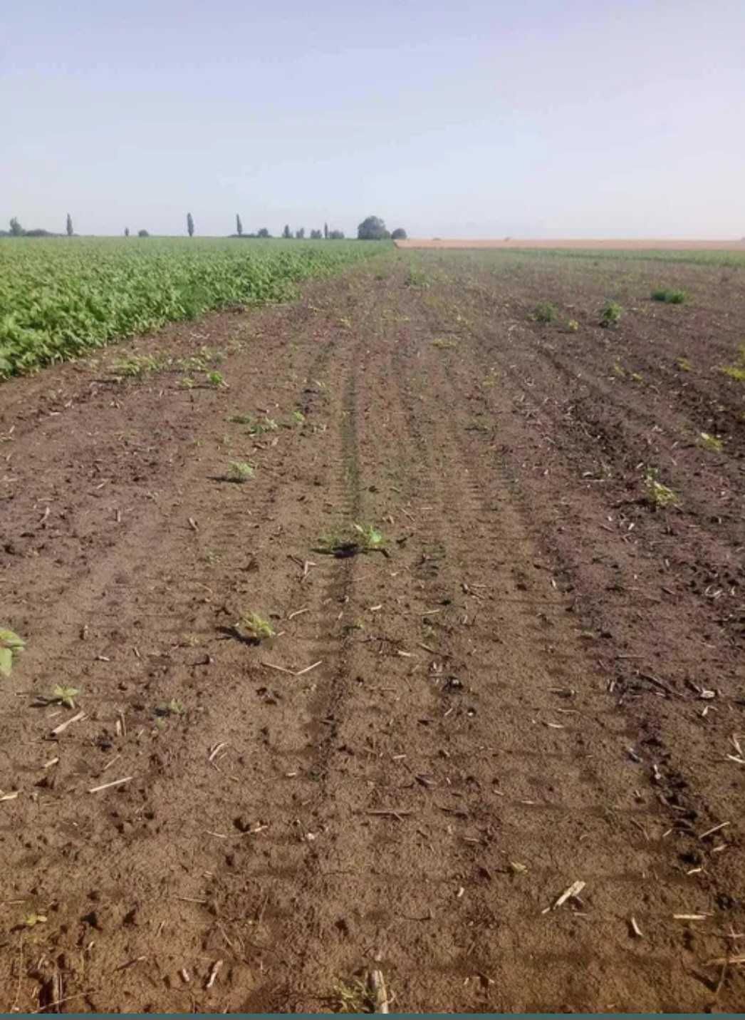 Продам земельний пай 16 гк
