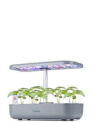 Yoocaa 12 Hydroponics Grow System uprawy 12 hydroponicznej, 49 cm LED