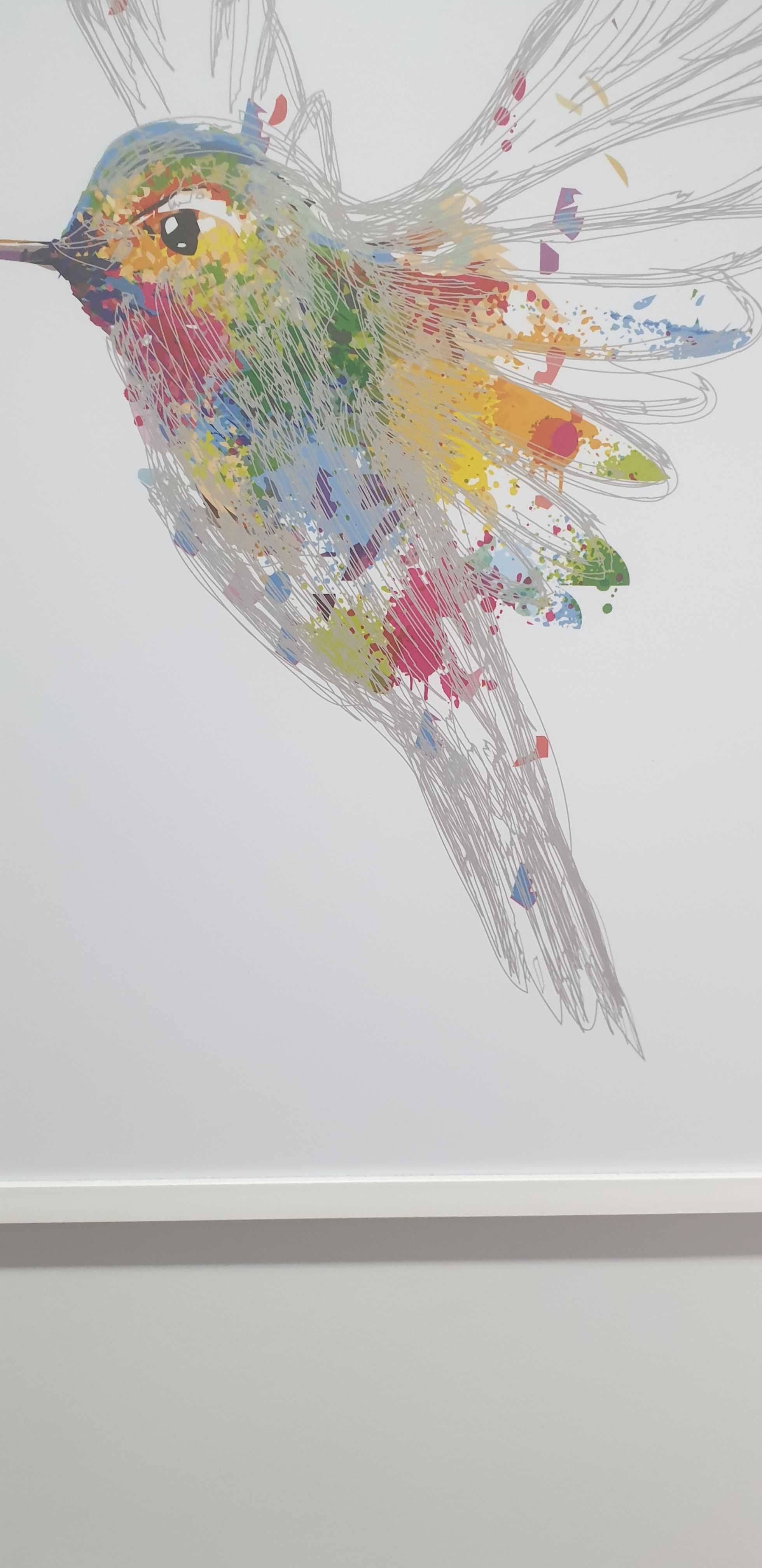 Obraz Koliber duży 70x50 nowoczesny