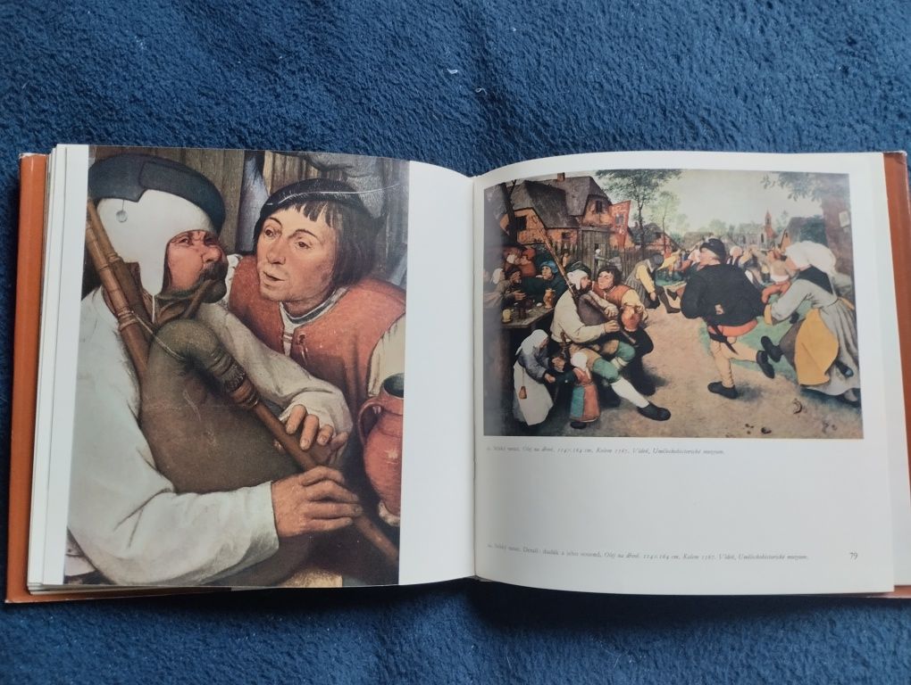 Pieter Bruegel. Album o sztuce