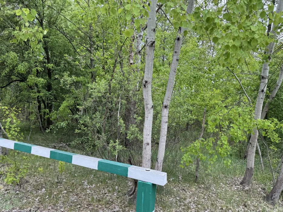 Земельна ділянка 1 га поруч з великим лісом!!!с.Здвижівка.