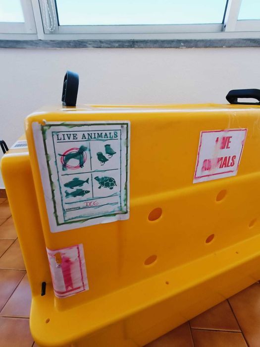 Caixa de transporte para animais
