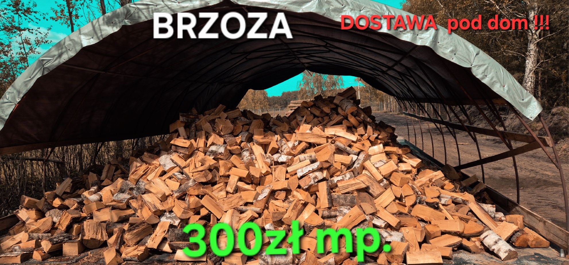 Drewno OPAŁOWE I Kominkowe z DOSTAWĄ ( Dąb, Brzoza, Olcha drzewo opał)