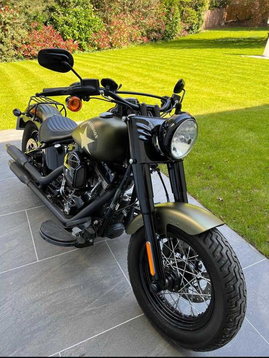 Harley Softail Slim S 110 Green Denim Nacional