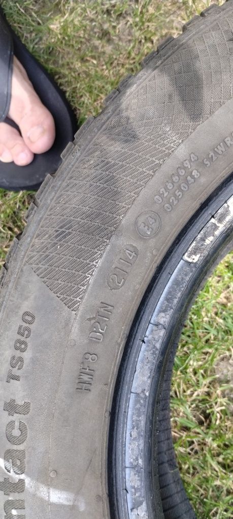 Opony zimowe Continental 185/60 R14