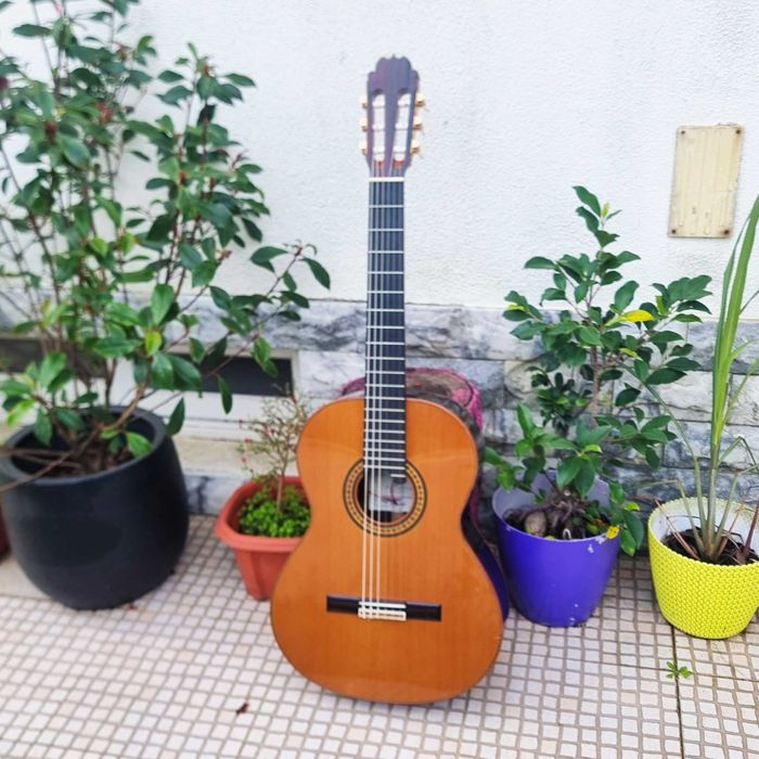 Guitarra Alhambra Luthier com Aniversario Garantia de 2 anos