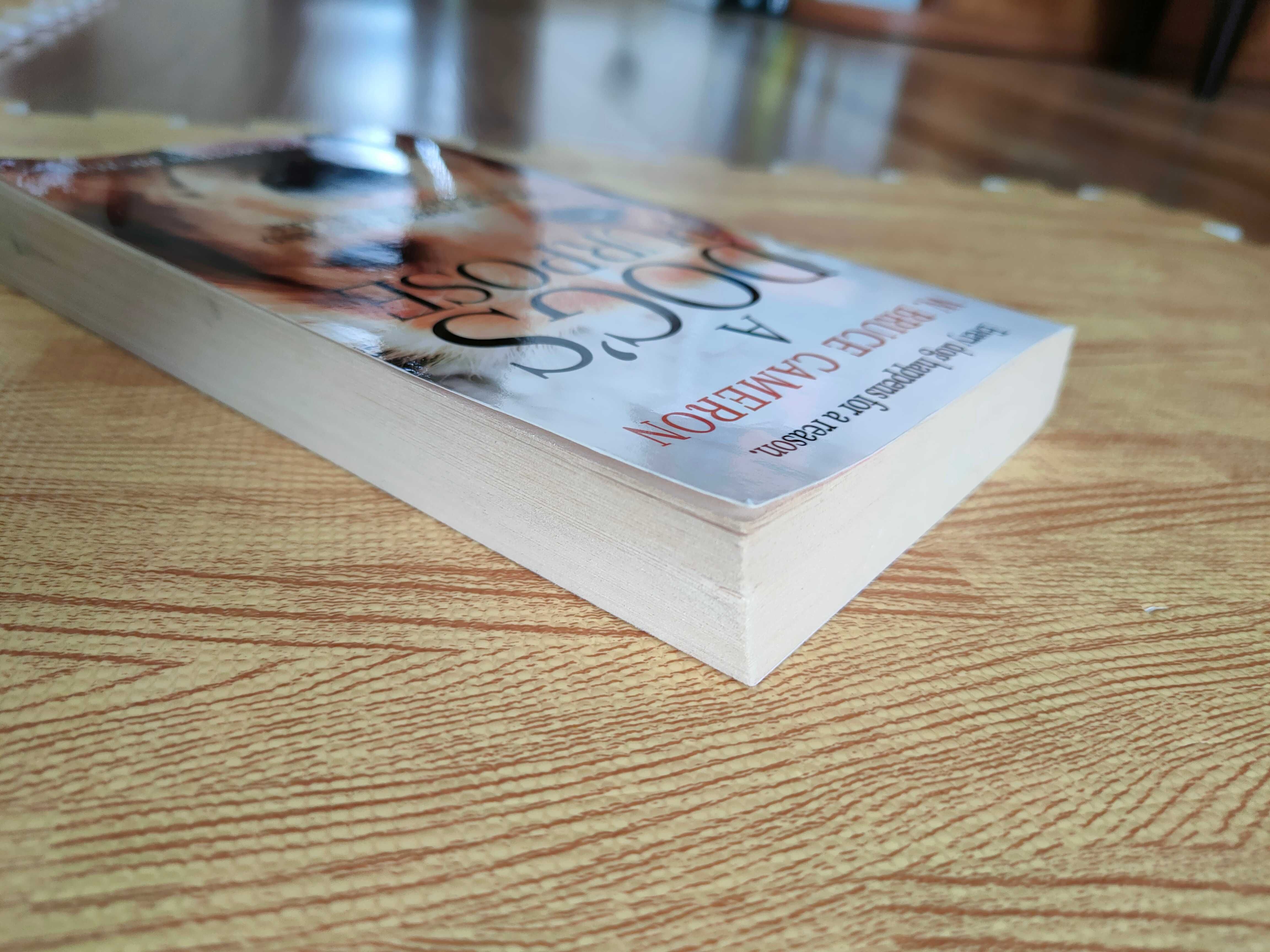 A dog's purpose (Był sobie pies) - W. Bruce Cameron ENG [po angielsku]