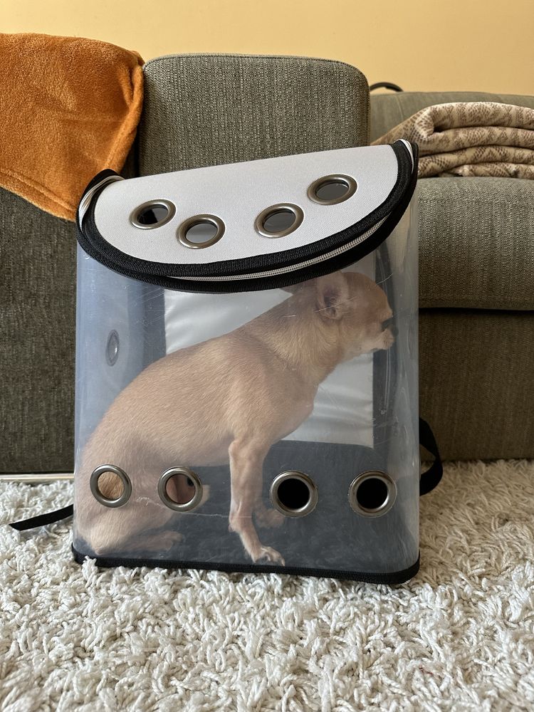Рюкзак переноска для собаки или кота
