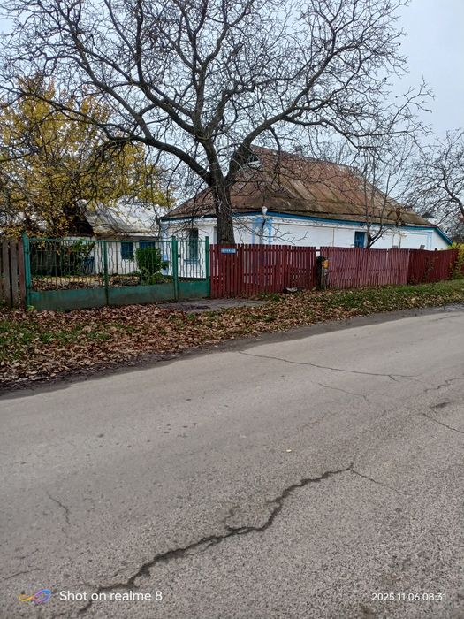 Продам два окремих будинки.