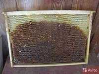 Продам пчелиная сушь