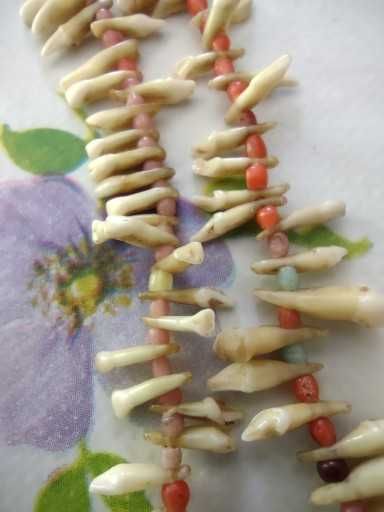 Stary naszyjnik plemienny Afryka naturalne zęby