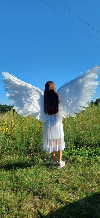 Крила ангела (оренда)