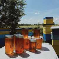 Натуральний прикарпатський мед з власної пасіки збір 2022