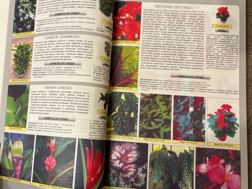 Все о комнатних растениях (кольорова)  224 сторінки