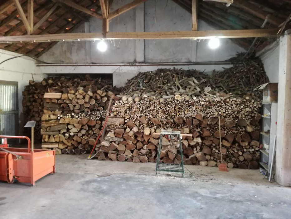 Lenha seca para lareira e salamandra